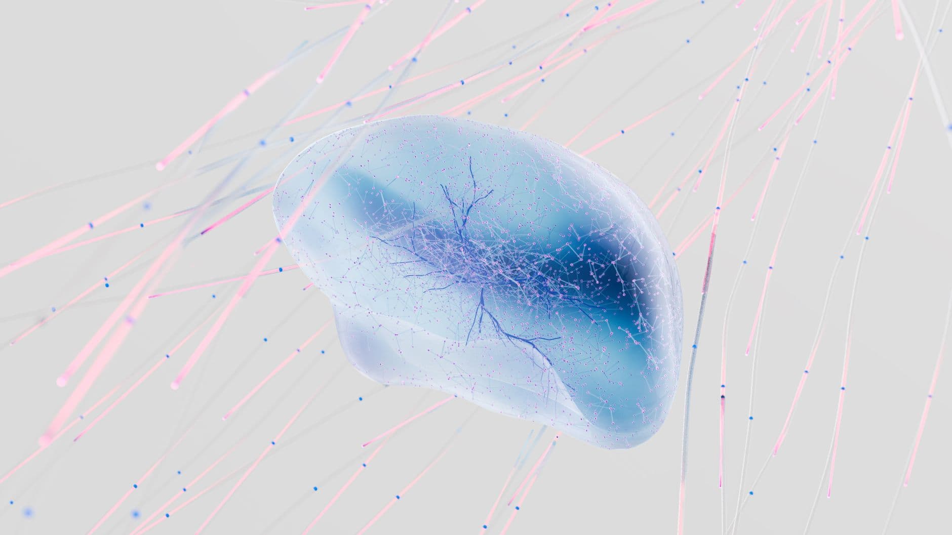 3D Web for Clinics: Transforming Patient Experience