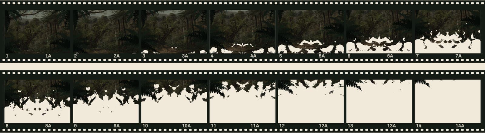 Fourteen frames of the study's opening printed as a contact sheet on two strips of film, from the whole forest to the last scrap