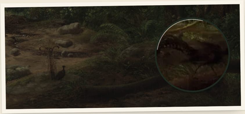 A dark print of the bottom of the painting with a round magnifying glass over the second lyrebird
